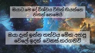 ඔයාගේ ජිවිතේ වෙනස් කරගන්න විශ්ව මාතාව දෙන #tarot පණිවිඩය 