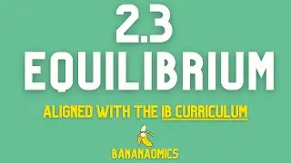 2.3 - Equilibrium and Equilibrium Practice