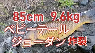 真冬の相模川でも巻きでブラウンを釣る法則　〜ワタクシの夢はミュージアムマイル〜