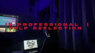 HOW I SEE MYSELF AS AN INFORMATION SYSTEMS PROFESSIONAL | Self-reflection | ISEP 202