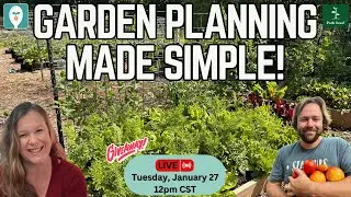 Planning Your Garden Before You Plant: Spacing, Timing & Realistic Goals