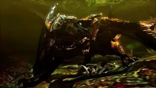 Monster Hunter 4 - 5 Star Village Quest: Infected Tigrex