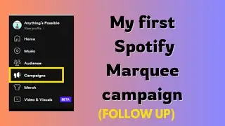 #53b -  My first Spotify Marquee campaign (follow up)