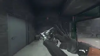 Call of Duty: Modern Warfare 2 - Basilisk Reload Animations