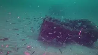 Vid&eacute;o RECIF 17 - Ann&eacute;e 2025