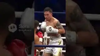 boxing knockout highlight #shorts #shortvideo #boxing #sports #2026