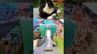 Они хотели хайпа&hellip; но вышло иначе