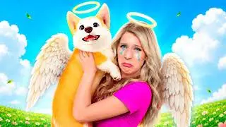 Do all Puppies go to Heaven?