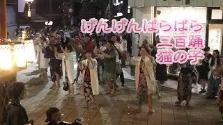 2025-8-15『げんげんばらばら』『三百』『猫の子』郡上八幡徹夜踊3日目