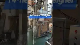 GSS-S-0083-Granule Pillow Bag Packaging Machine