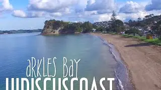 Arkles Bay Hibiscus Coast New Zealand