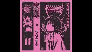 D&Lambda;RKN&Sigma;SS - layer 02: alice