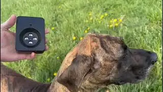 Ultrasonic Dog Barking Deterrent Devices