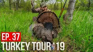 The SECRET to Turkey Hunting!  | Iowa PUBLIC LAND Gobbler!