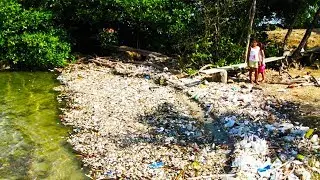 Plastic Destroying Island Paradise