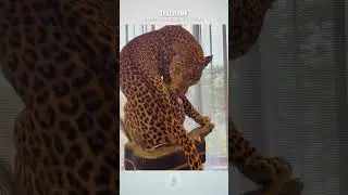 Потрясающее искусство сохранения животных! 🦉🔍