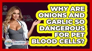 Why Are Onions And Garlic So Dangerous For Pet Blood Cells? - Ask A Pet Vet