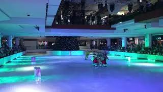 HITS Houston Ice Theatre Skaters Galleria 30th Anniversary Tree Lighting: 