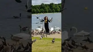 A walk on the wild side | The Round Pond, Kensington Gardens, London