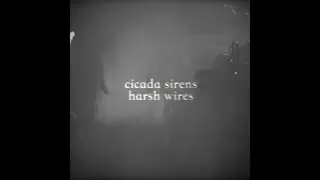 Harsh Wires - Tracks of Winter