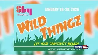 Salisbury Art Space WIld Thingz Exhibit || WMDT