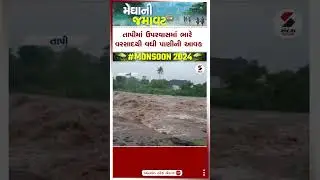 Tapi Rain | તાપીમાં ઉપરવાસમાં ભારે વરસાદથી વધી પાણીની આવક | Rain | Monsoon