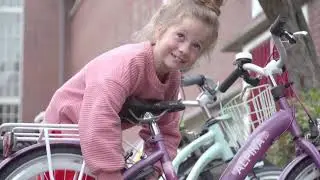 ALPINA GIRLPOWER MEISJESFIETS PremiumBikes.