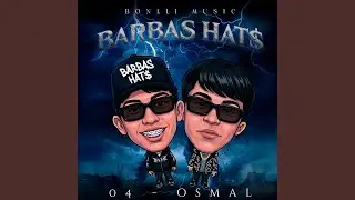 BARBAS HAT$