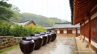 편안하게 잠들게 해주는 빗소리 | Rain Sounds for Sleeping
