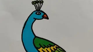 Peacock 🦚 #shortvideo #drawing #relaxing #cute 