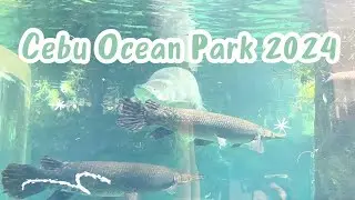 CEBU OCEAN PARK PART 2 | ETHANS WORLD
