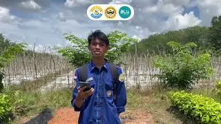 LAHAN KERING MASAM_TUGAS PROJECT BASED LEARNING_KKT_KELOMPOK 2