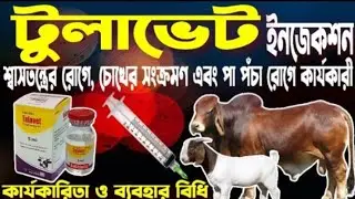 Tula vet is an important medicine. This medicine is very important and it works for a long time.