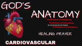 Healing Prayer For Heart Problems | God's Anatomy | Warfare Prayer