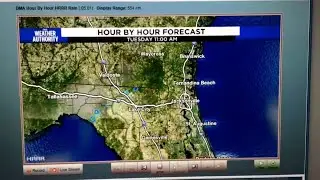 A Toasty Tuesday and a dancing Flamingo