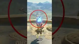 The Fastest Way to move in Breath of the Wild!