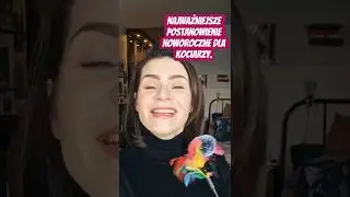 1 postanowienie noworoczne dla kociarzy - nie przegap! #behawiorysta #kocibehawiorysta