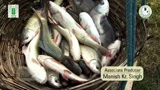 Fisheries  Farmer Jyoti Mandal |  मछली पालन से जिन्दगी में आई तरक्की : ज्योति मंडल
