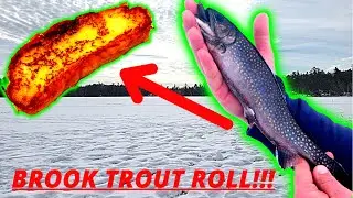 SIGHT FISHING AND TRAP FISHING FOR MAINE BROOK TROUT! (CATCH AND COOK)