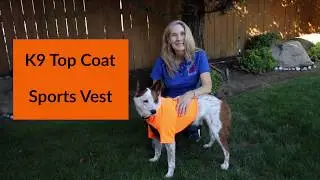High Visibility Dog Sport Vest