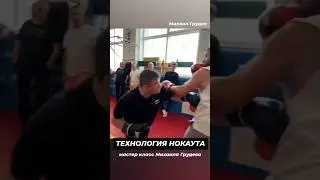 Технология нокаута 👊 #извор #михаилгрудев