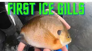 FIRST ICE - MEGA BLUEGILLS - 2021-22 Ice Fishing Season Starts NOW!