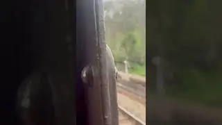 Brake van ride - Severn valley railway - 09017