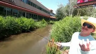 Utah State Record Caught&hellip; Right in the Middle of the City?!