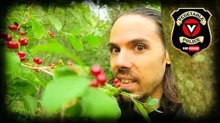 2 Reasons Why People HATE Vegans and how to AVOID it!