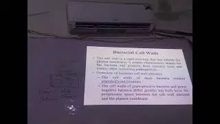 chp6 bio gram positive and gram negative bacteria class 11 sum academy larkana