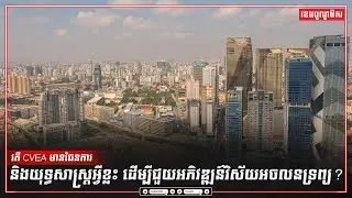 តើ CVEA មានផែនការ និងយុទ្ធសាស្ត្រអ្វីខ្លះ ដើម្បីជួយអភិវឌ្ឍន៍វិស័យអចលនទ្រព្យ?