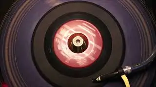 The Royal Jokers &lrm;&ndash; Don't Leave Me Fanny   ATCO Records &lrm;&ndash; 45 6062