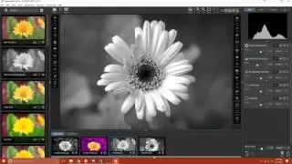 Topaz Studio Welcome &  Walkthrough