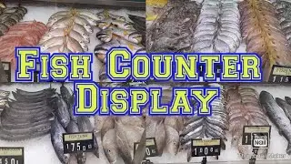 Simple fish counter display | Fishmonger